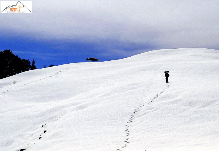 12 path to barnala top