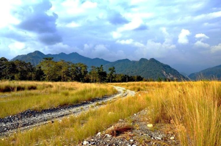 532570_10151094978436187_1031313076_n