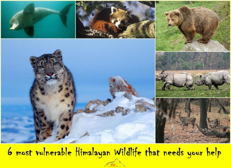 reduced image quality