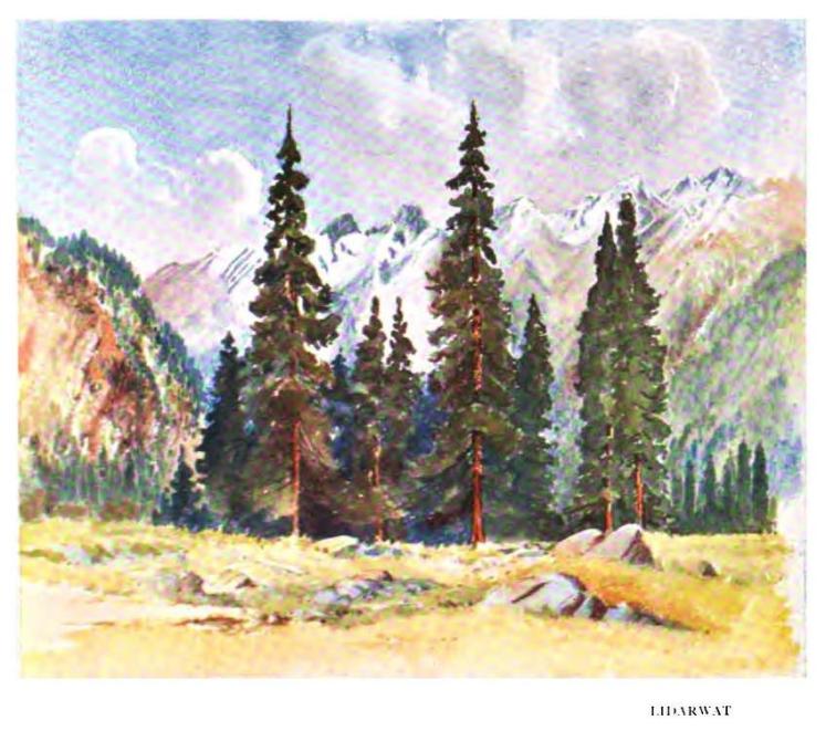 lidarwat kashmir 1907